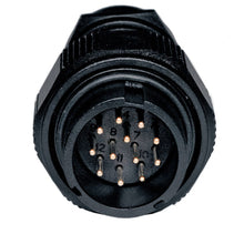Connecteur 12 plots male - [la pièce]